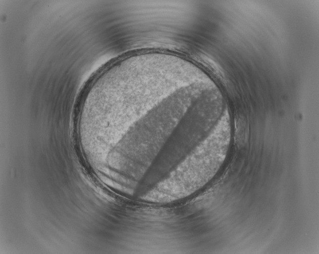 X0000088390780200706191332