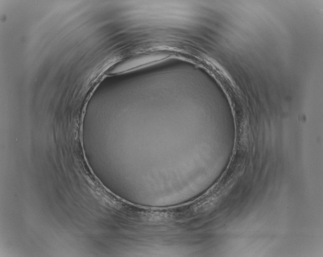 X0000088390785200706191331
