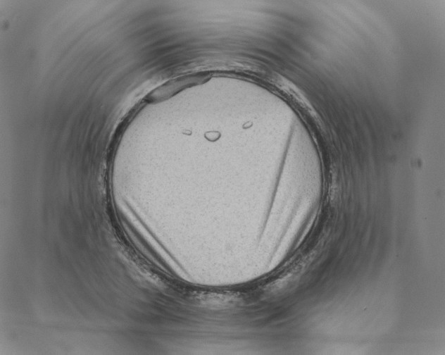 X0000088390786200706191331