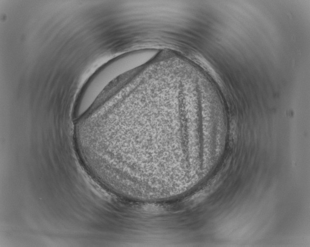 X0000088390787200706191331