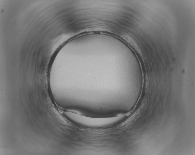 X0000088390789200706191331