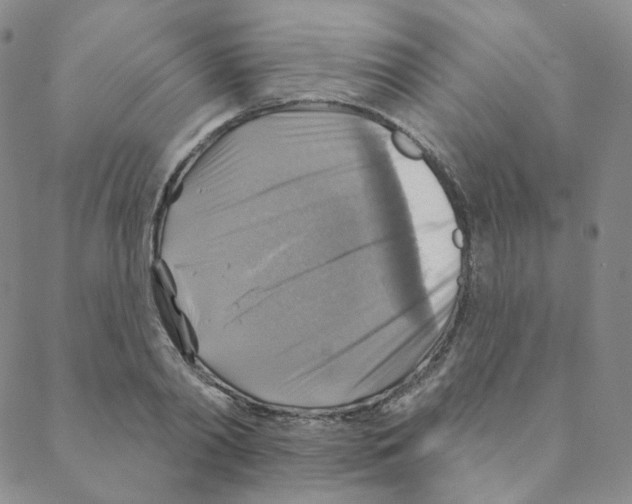 X0000088390790200706191331