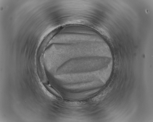X0000088390792200706191331