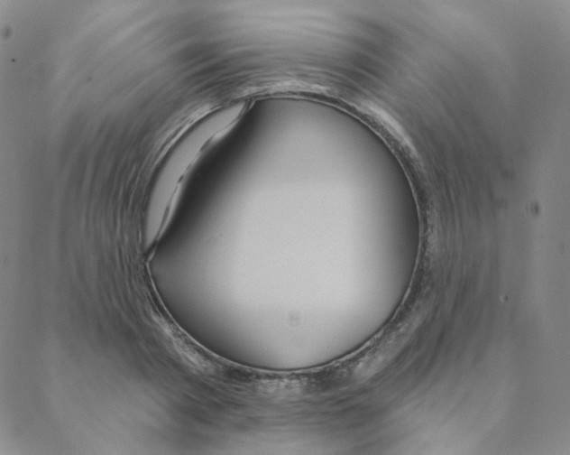 X0000088390793200706191331