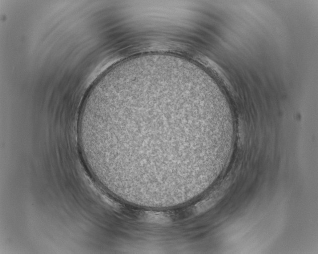 X0000088390794200706191331