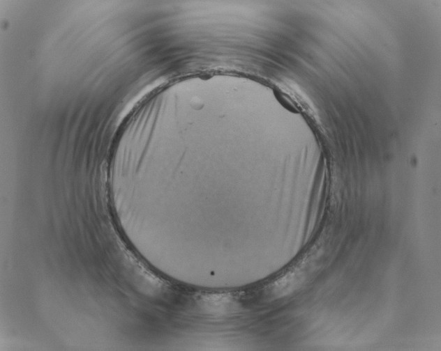 X0000088390798200706191331