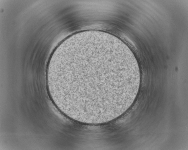 X0000088390800200706191331