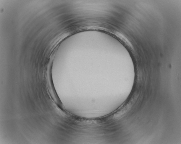 X0000088390801200706191331