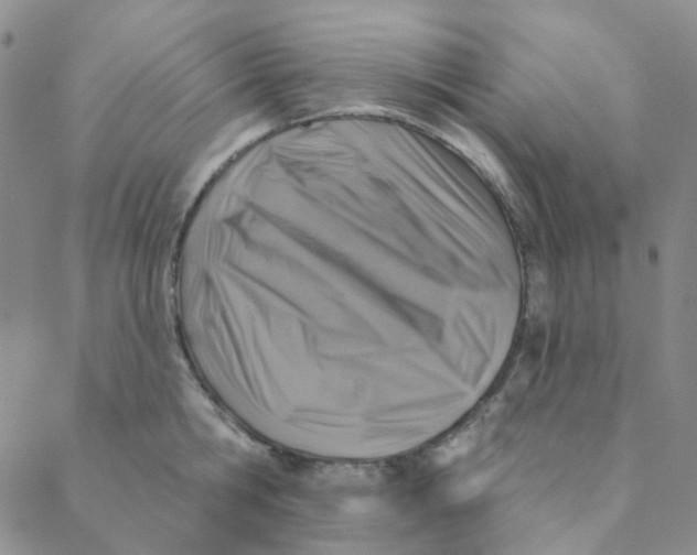 X0000088390806200706191331