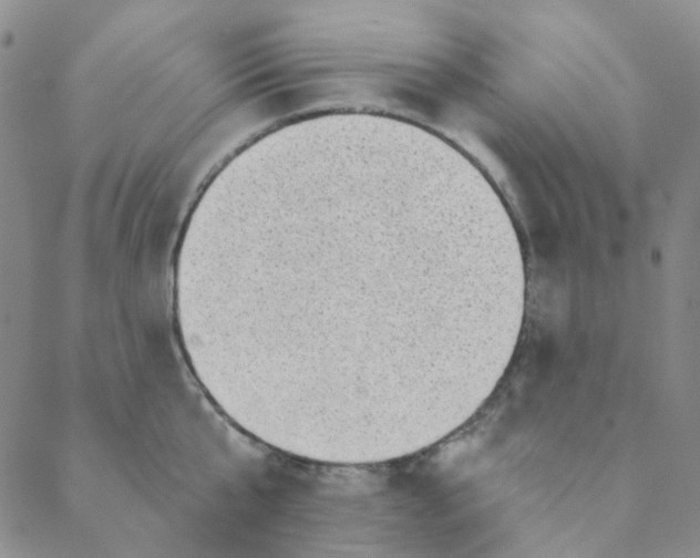 X0000088390807200706191331