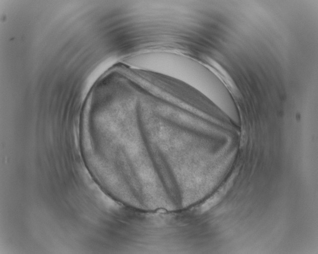X0000088390812200706191331