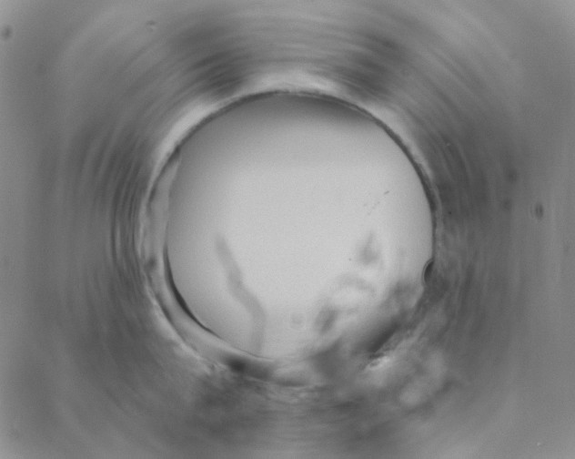 X0000088390815200706191331