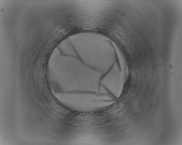 X0000088390817200706191330