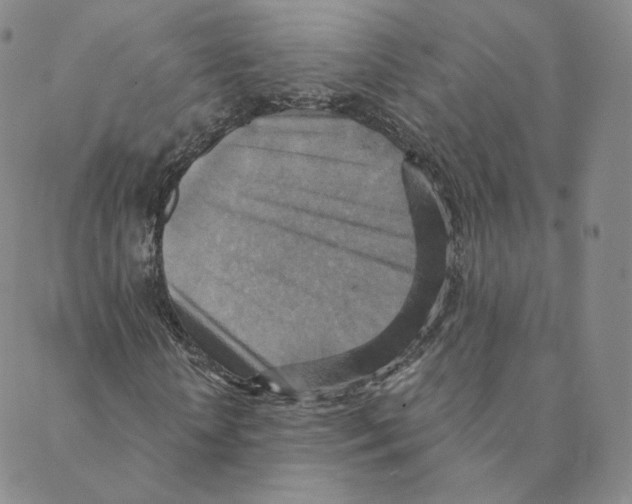 X0000088390818200706191330