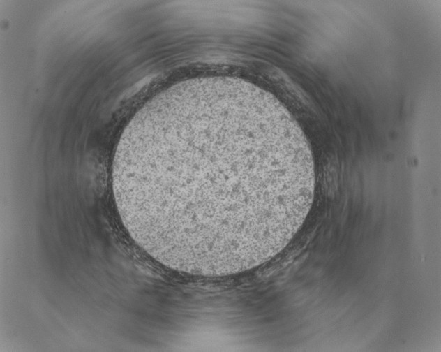 X0000088390821200706191330