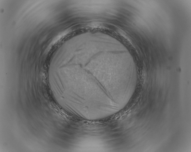 X0000088390823200706191330