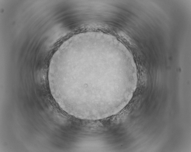 X0000088390824200706191330
