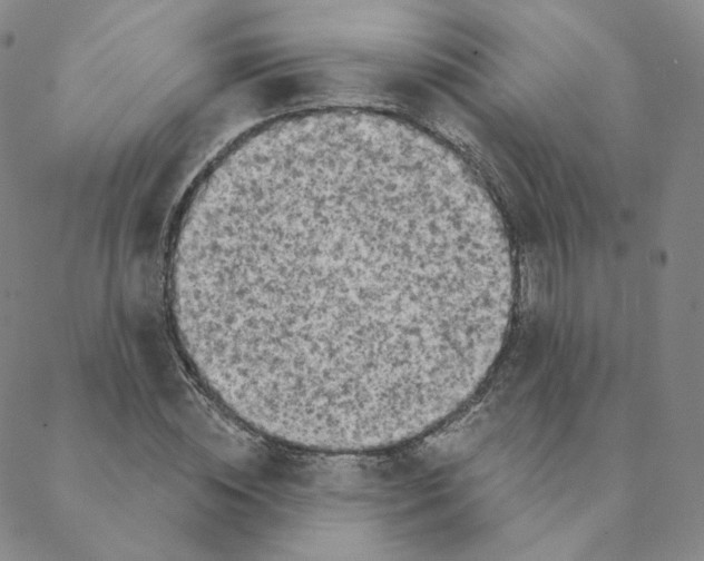 X0000088390828200706191330