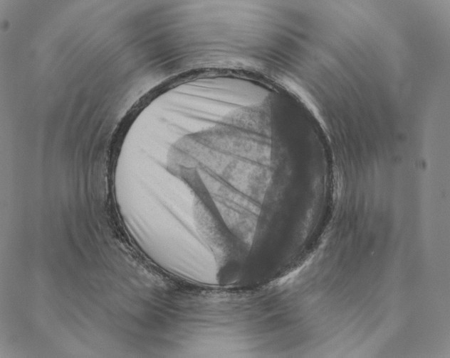 X0000088390829200706191330
