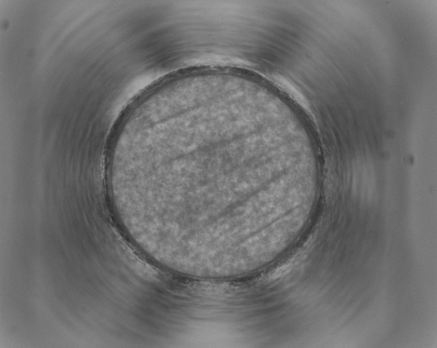 X0000088390831200706191330