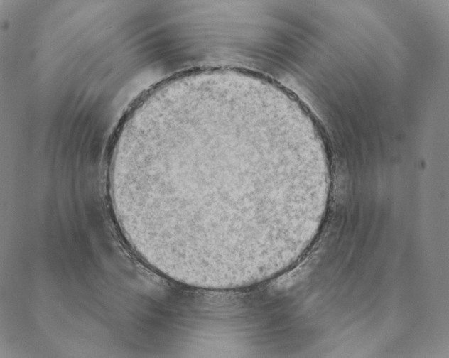 X0000088390832200706191330