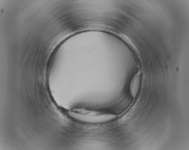 X0000088390846200706191331