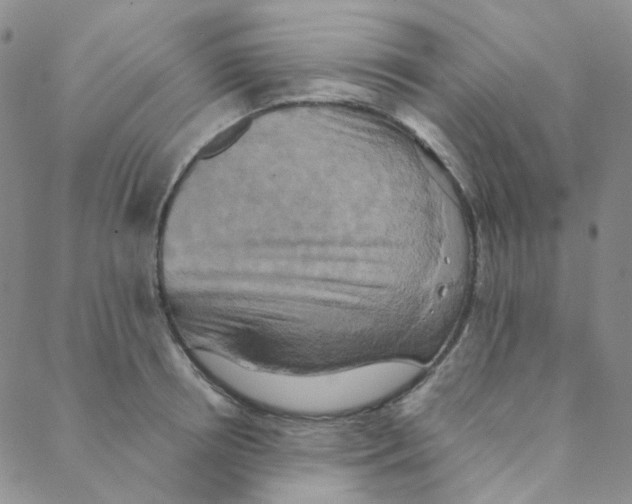 X0000088390850200706191331