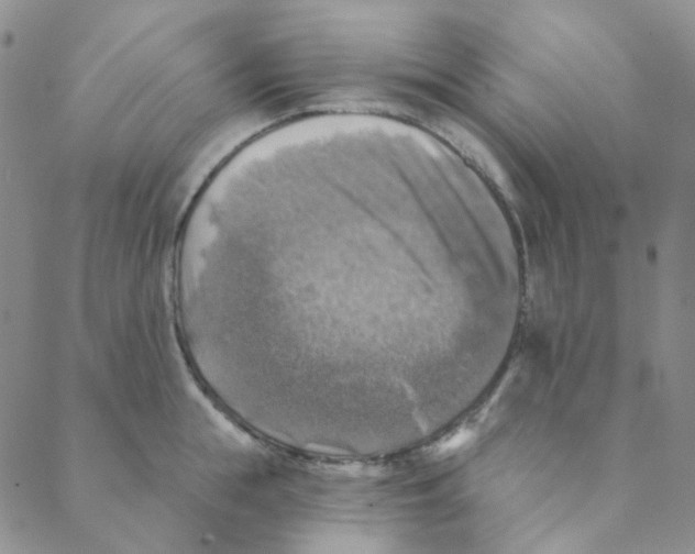 X0000088390855200706191331
