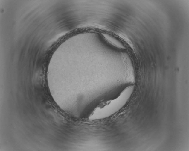 X0000088390872200706191330