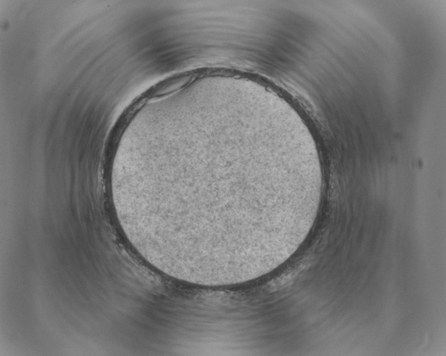 X0000088390880200706191330