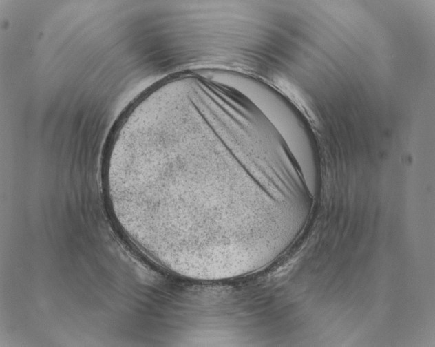 X0000088390884200706191330