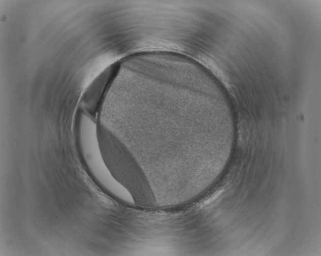 X0000088390885200706191330