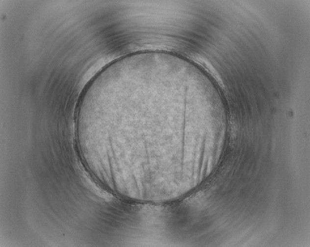 X0000088390890200706191330