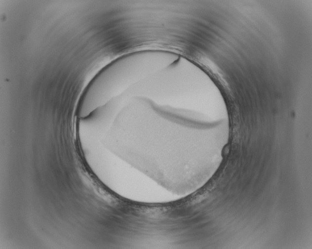 X0000088390892200706191330