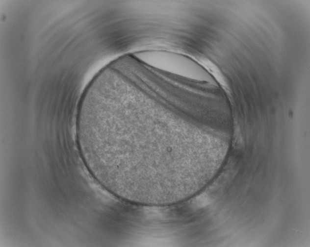 X0000088390904200706191330