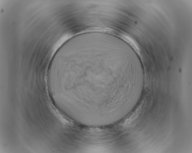 X0000088390907200706191329