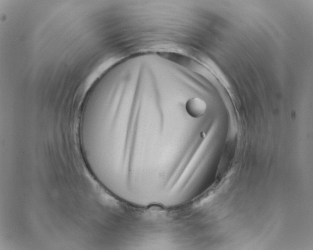 X0000088390909200706191329