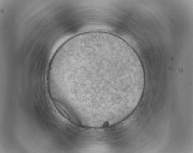 X0000088390912200706191329