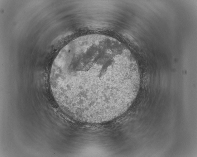 X0000088390917200706191329