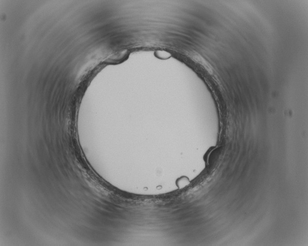 X0000088390922200706191329