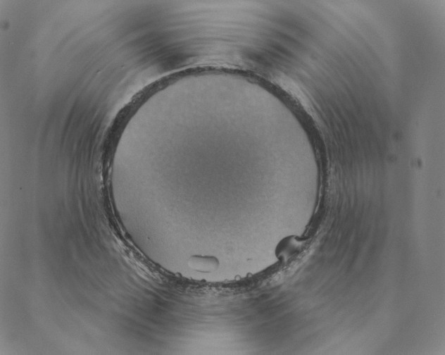 X0000088390923200706191329