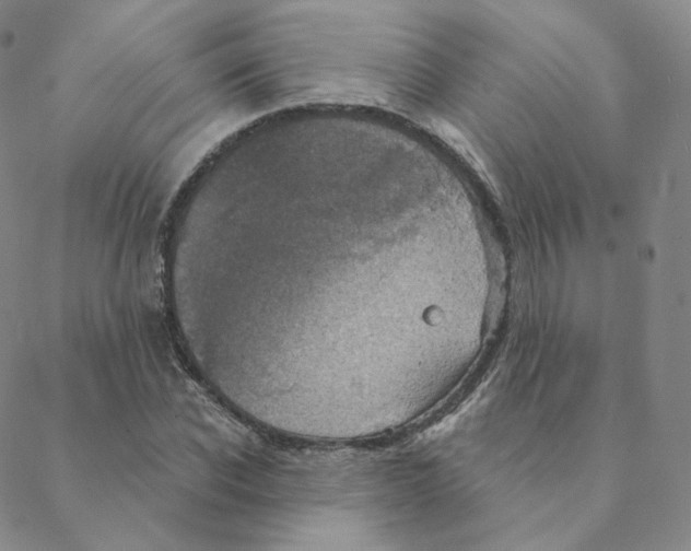 X0000088390926200706191329