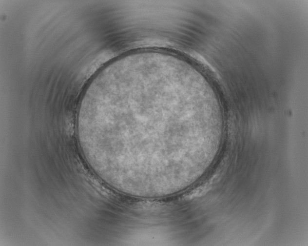 X0000088390929200706191329