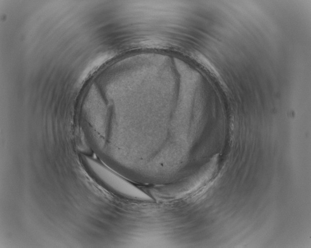 X0000088390930200706191329