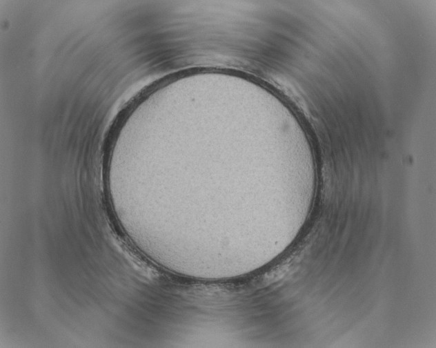 X0000088390931200706191329