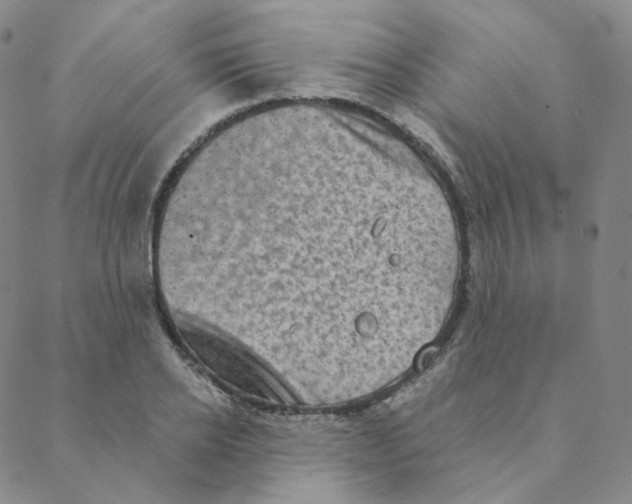 X0000088390934200706191329