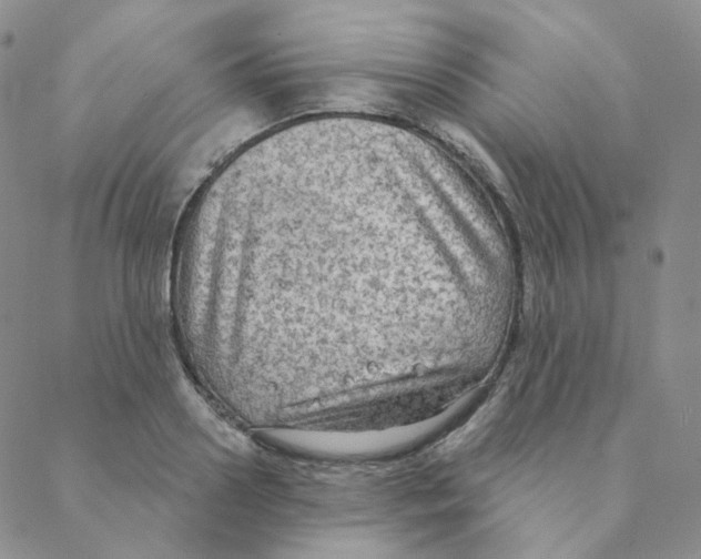 X0000088390938200706191329