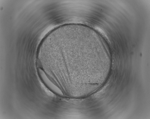 X0000088390942200706191329