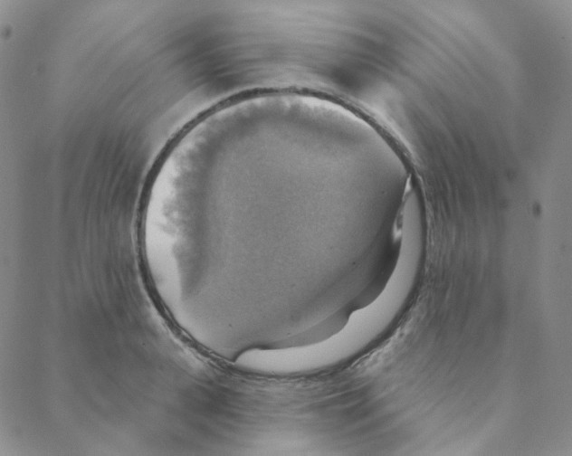 X0000088390943200706191329