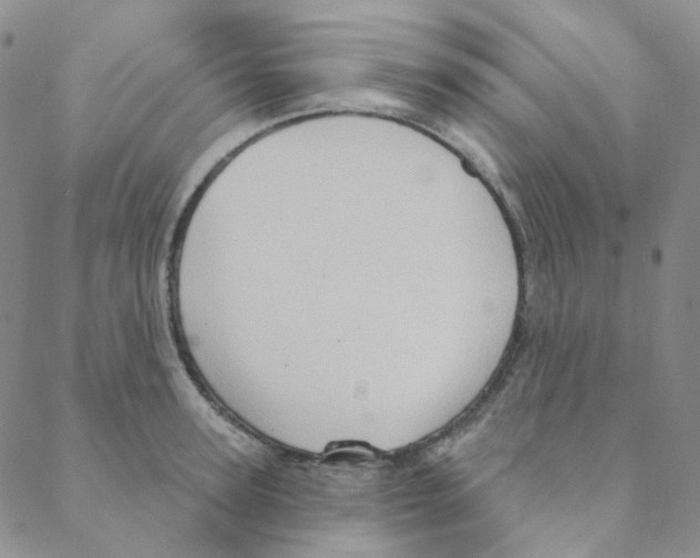 X0000088390947200706191329